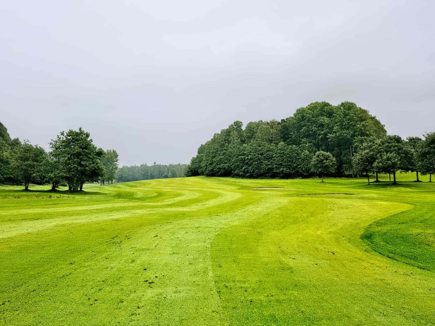 A quiet green golf fairway lined with trees in soft morning light